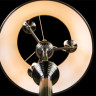 Торшер ARTE Lamp A3579PN-3AB