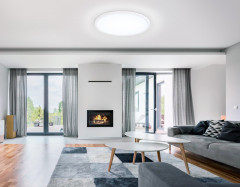 Накладной светильник Ambrella Light FZ1959