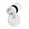 Спот Ambrella Light TN101/10W