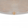 Накладной светильник Maytoni C046CL-06G