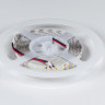 Лента DesignLed DSG2196-24-NW-33