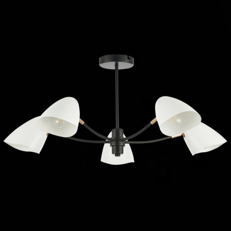 Люстра на штанге Evoluce SLE103602-05