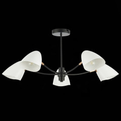 Люстра на штанге Evoluce SLE103602-05