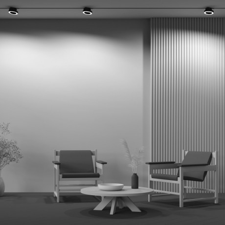 Светильник на шине Maytoni Technical TR044-1-12W3K-B