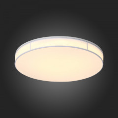 Накладной светильник ST-Luce SL417.512.01