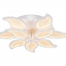 Накладная люстра Ambrella Light FA460