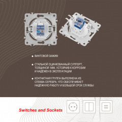 Розетка Arte Milano 202.45-1.white