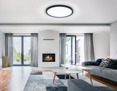 Накладной светильник Ambrella Light FZ1961