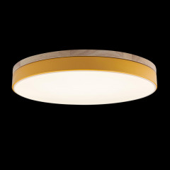 Потолочный детский светильник LOFT IT 10001/36 Yellow