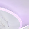 Накладной светильник Ambrella Light FA4475