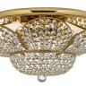 Накладная люстра Arti Lampadari Alassio E 1.2.50.600 GH