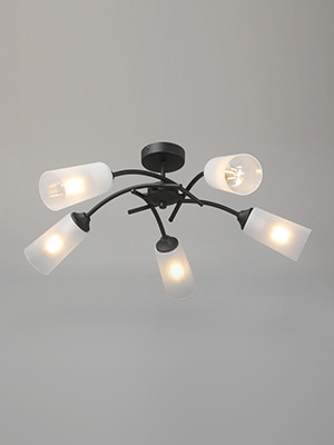 Накладная люстра Vitaluce V2850-1/5PL