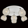 Накладная люстра Citilux CL158161