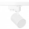 Светильник на шине Crystal Lux CLT 0.31 001 60 WH