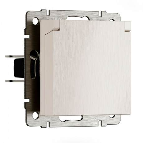 Розетка Werkel W1171213 N