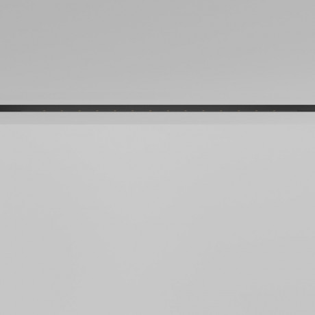 Светильник на шине Maytoni Technical TR174-1-24WTW-M-B