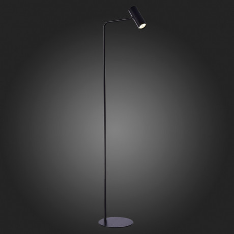 Торшер ST-Luce SL1006.405.01