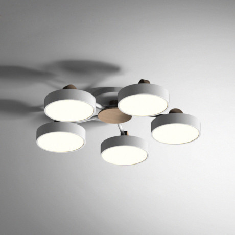 Накладная люстра ImperiumLoft 178249-26