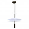 Подвесной светильник ST-Luce SL6101.403.01
