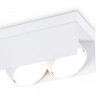 Накладной светильник Ambrella Light TN70845