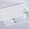 Накладной светильник Ambrella Light TN70845
