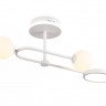 Люстра на штанге Ambrella Light FL66221