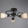 Накладная люстра ARTE Lamp A6545PL-3BC