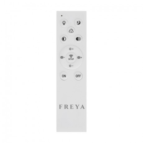 Накладной светильник Freya FR10031CL-L98B