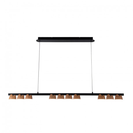 Подвесная люстра Favourite 4266-10P