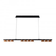 Подвесная люстра Favourite 4266-10P