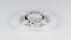 Лента DesignLed DSG2280V2-24-NW-33