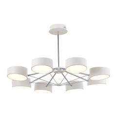 Люстра на штанге Evoluce SLE6005-502-08