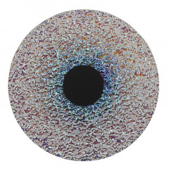 Бра ST-Luce SL6142.421.01