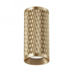 Накладной светильник Maytoni Technical C036CL-01G