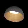 Накладной светильник LOFT IT 10197/350 Grey