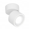 Спот Ambrella Light TN268