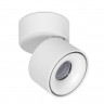 Спот Ambrella Light TN268