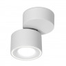 Спот Ambrella Light TN268