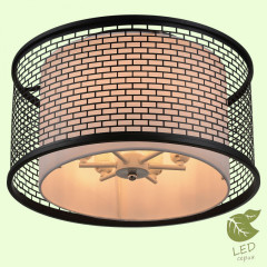 Накладная люстра Lussole GRLSP-9676