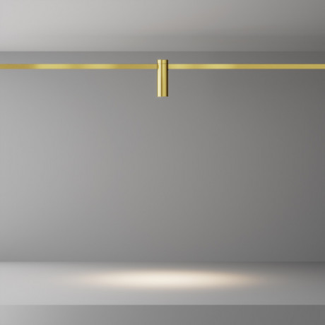 Светильник на шине Maytoni Technical TR143-1-5W3K-W-BS
