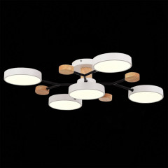 Люстра на штанге Evoluce SLE6006-502-05