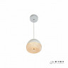 Подвесной светильник iLedex WLD8885-1 WH