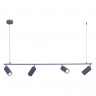 Подвесная люстра ST-Luce SL1213.703.04