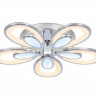 Накладной светильник Ambrella Light FA469