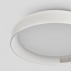 Накладной светильник ImperiumLoft 223830-23