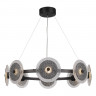 Подвесная люстра ST-Luce SL6142.443.01