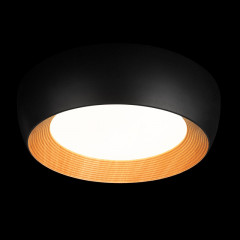 Накладной светильник LOFT IT 10255/500 Black