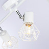 Накладной светильник Ambrella Light TR8631