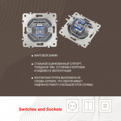 Розетка Arte Milano 205.45-1.silver