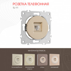 Розетка Arte Milano 202.51-1.shampan